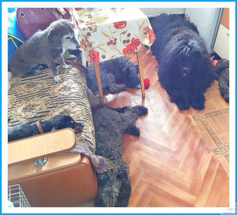 Фотография № 243664