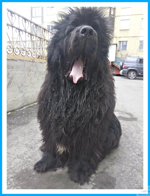 Фотография № 243665