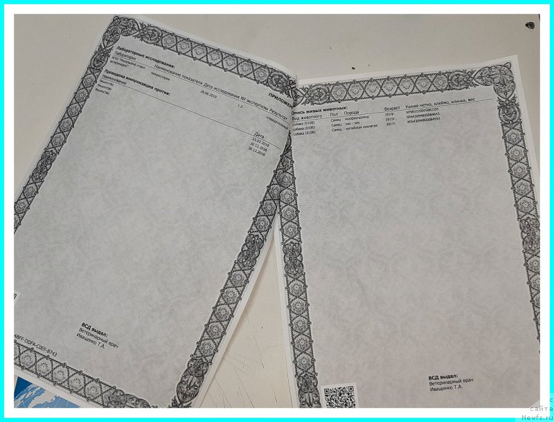 Фотография № 243666