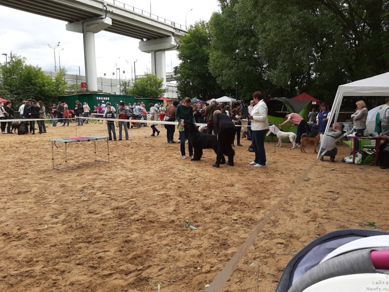 Фотография № 243669