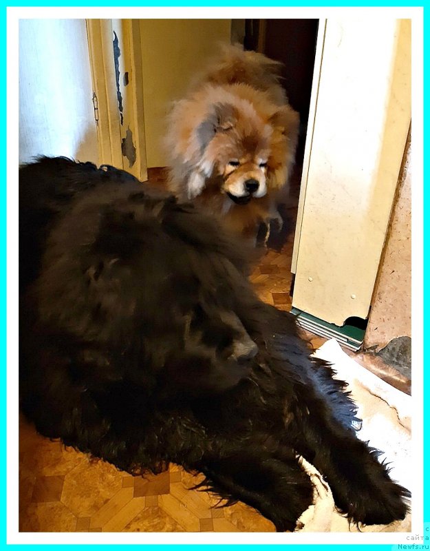 Фотография № 243672