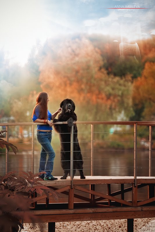 Фотография № 243673