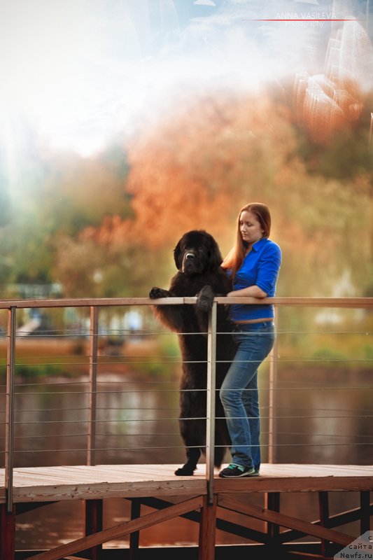 Фотография № 243674