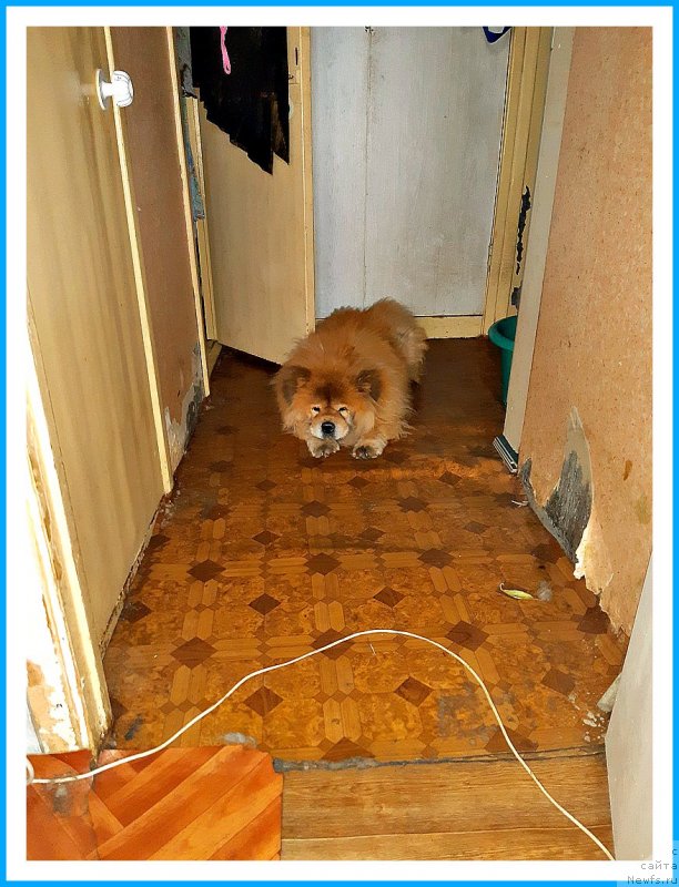 Фотография № 243677