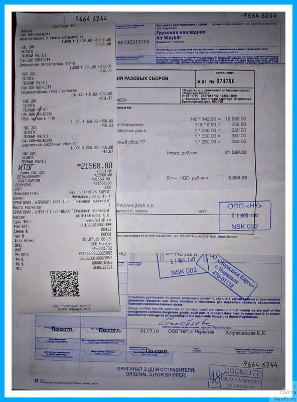 Фото: ньюфаундленд Плюшевая Панда Яр (Plushevaya Panda Yar)