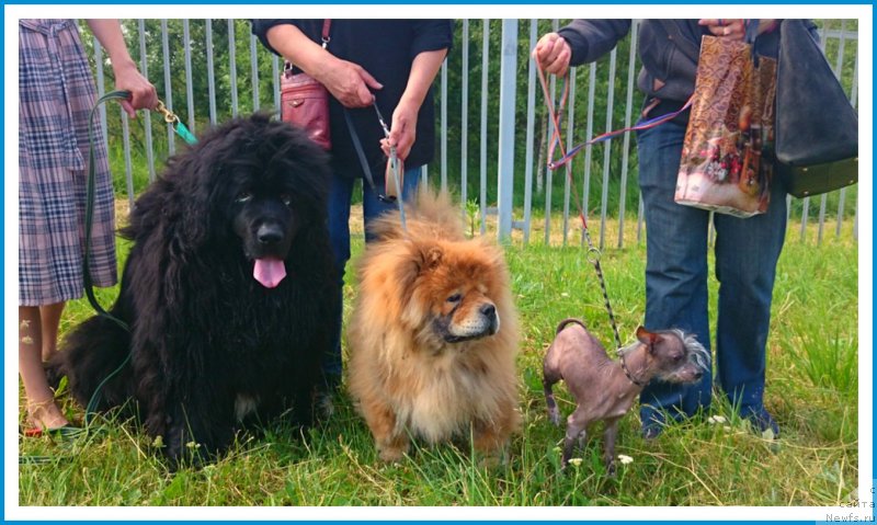 Фотография № 243689