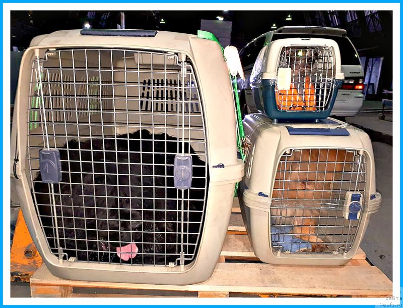 Фотография № 243690