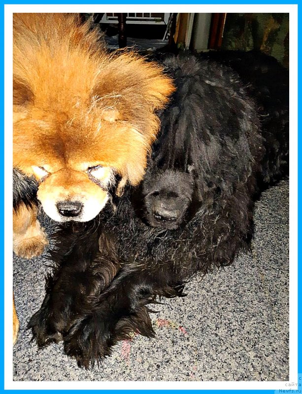 Фотография № 243691