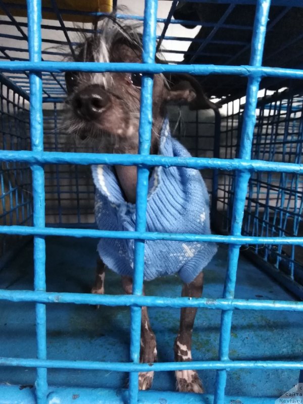 Фотография № 243693