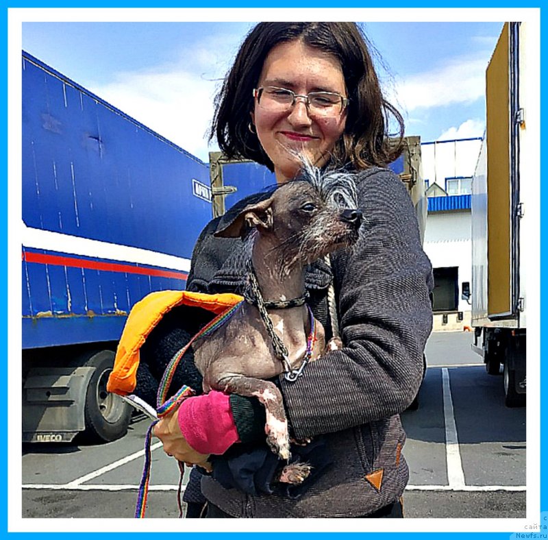 Фотография № 243695