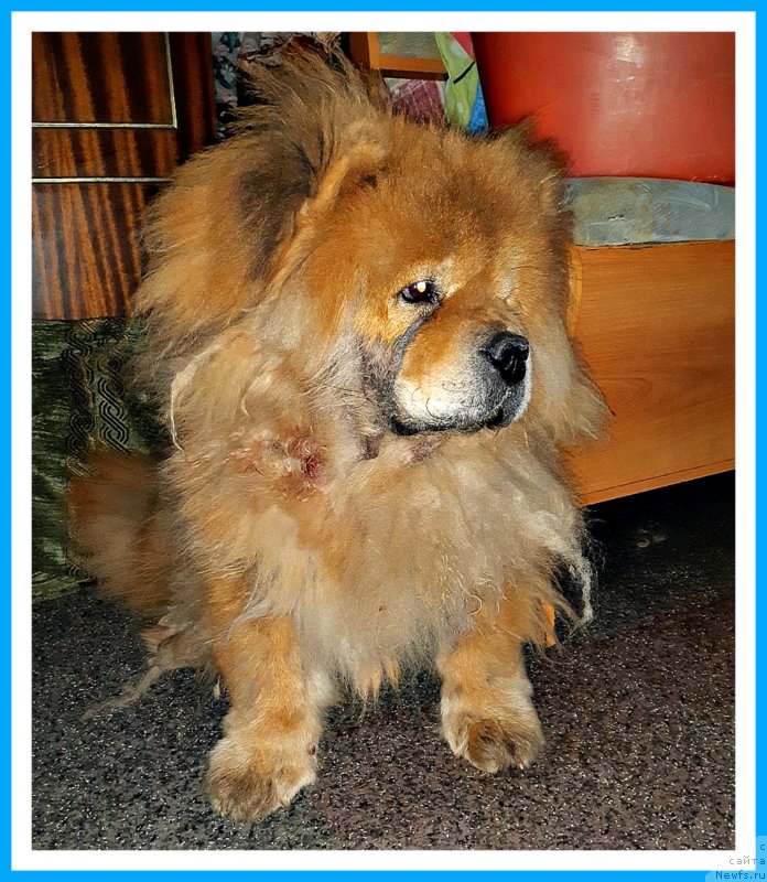 Фотография № 243696