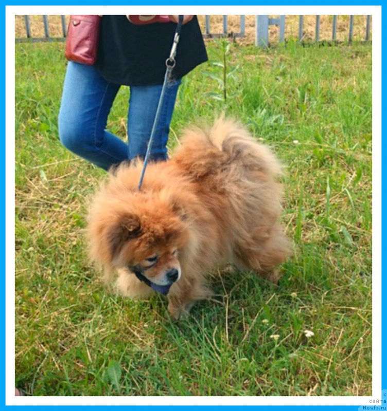 Фотография № 243697