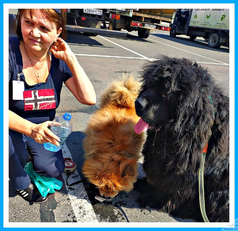 Фотография № 243700