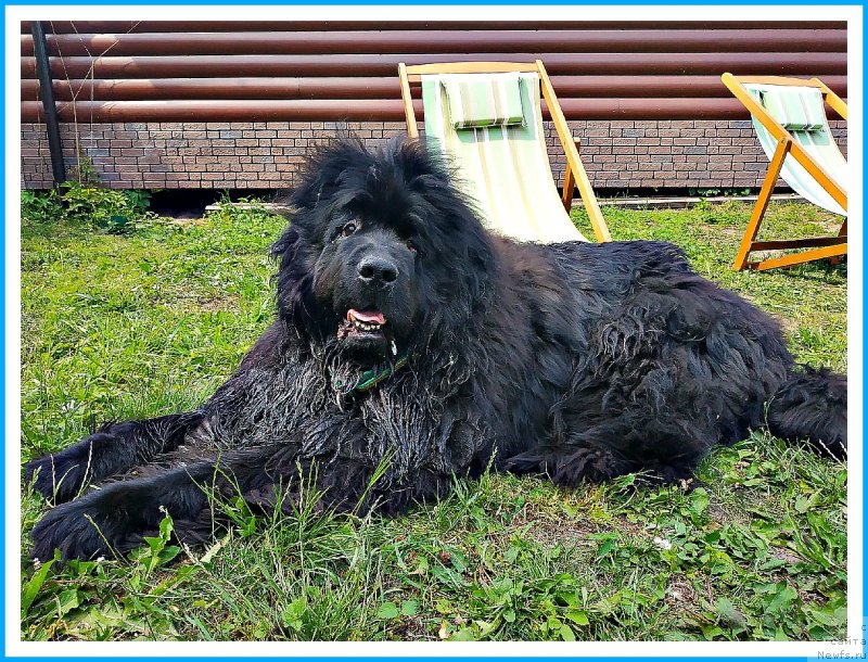 Фотография № 243701