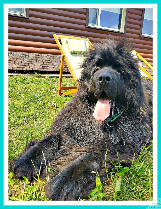 Фотография № 243702