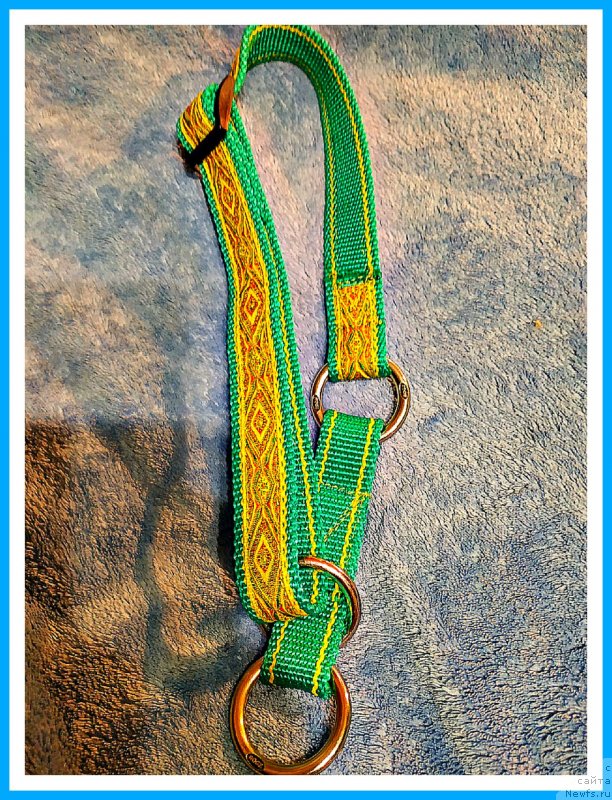 Фотография № 243704