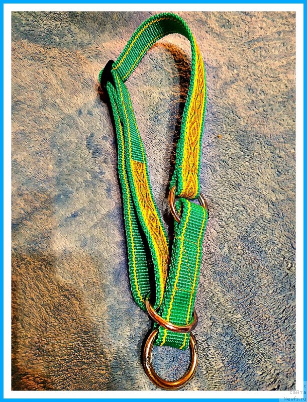 Фотография № 243705