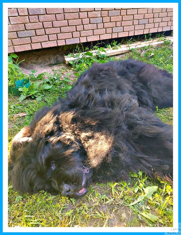 Фотография № 243707