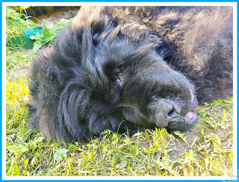 Фотография № 243708