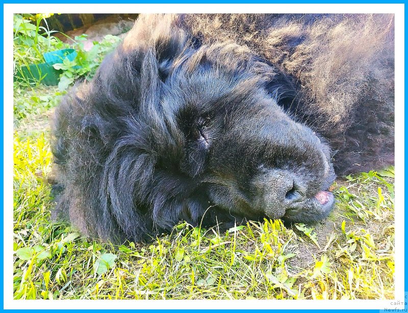 Фотография № 243709