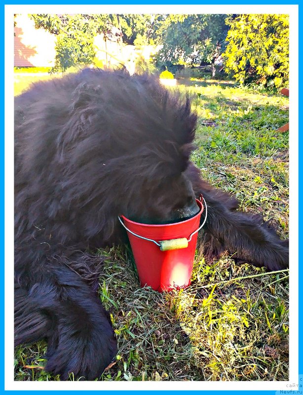 Фотография № 243712