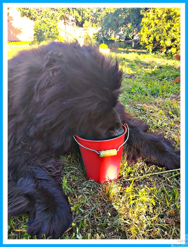 Фотография № 243713