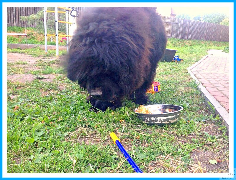 Фотография № 243732