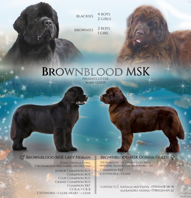 Фотография № 243734