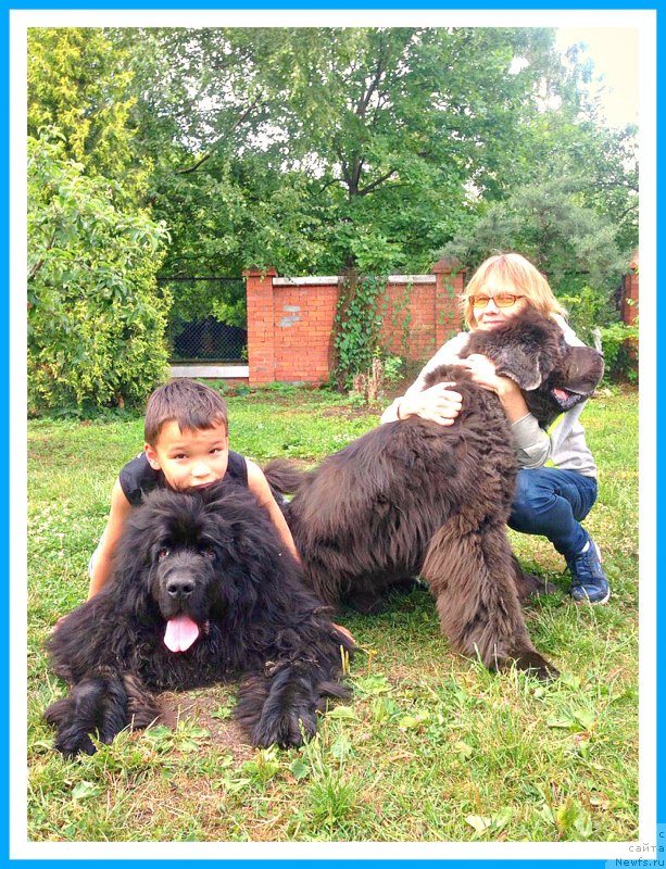 Фотография № 243735