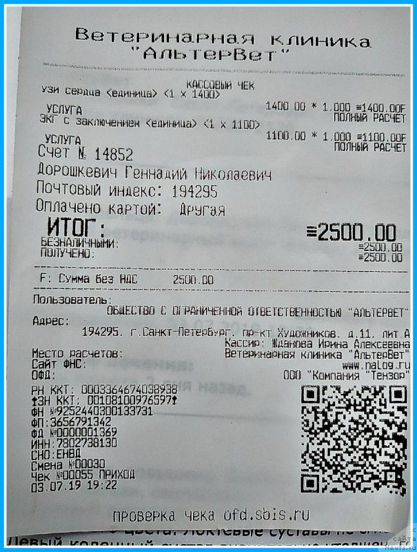 Фото: ньюфаундленд Плюшевая Панда Яр (Plushevaya Panda Yar)