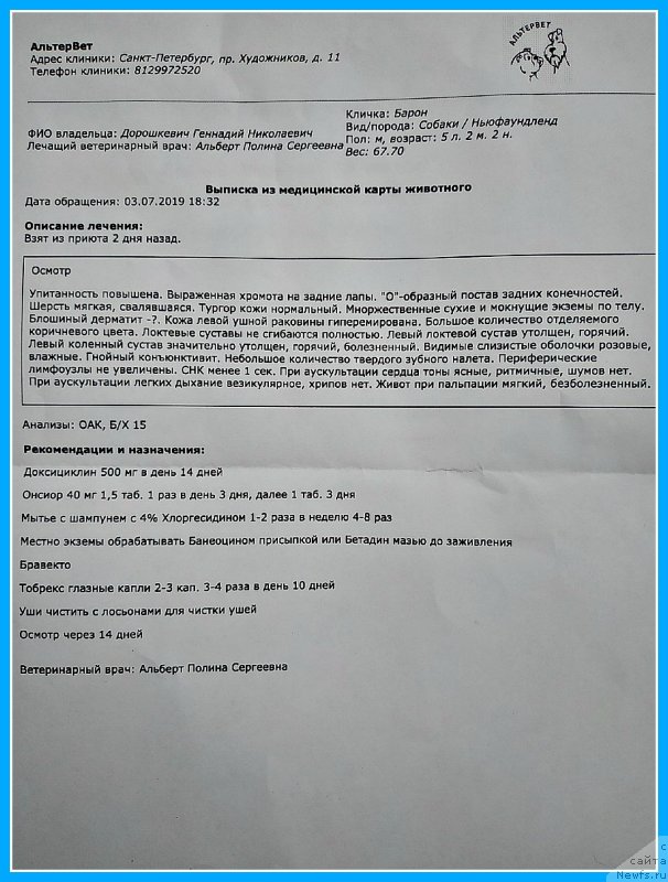 Фотография № 243750