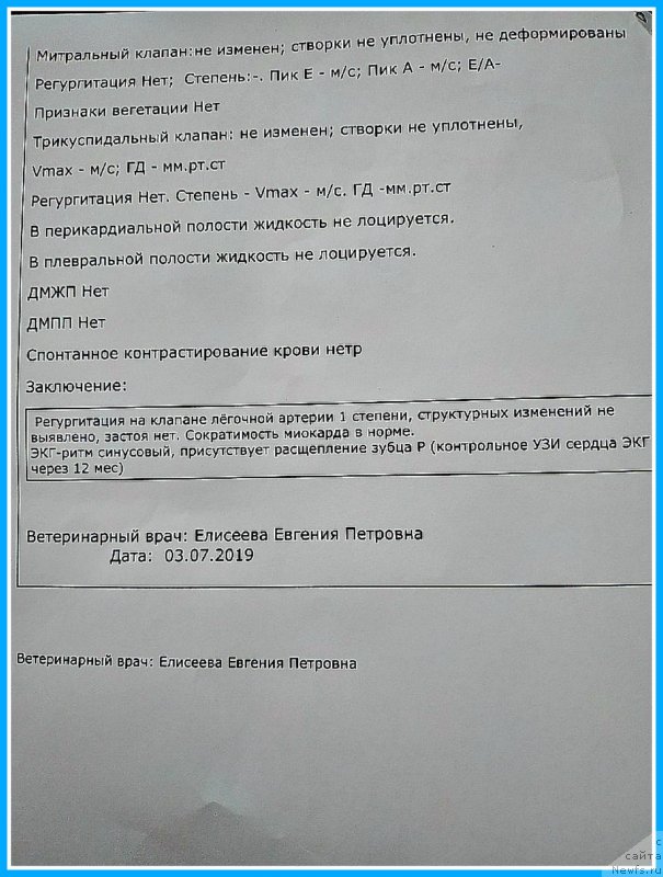 Фотография № 243752