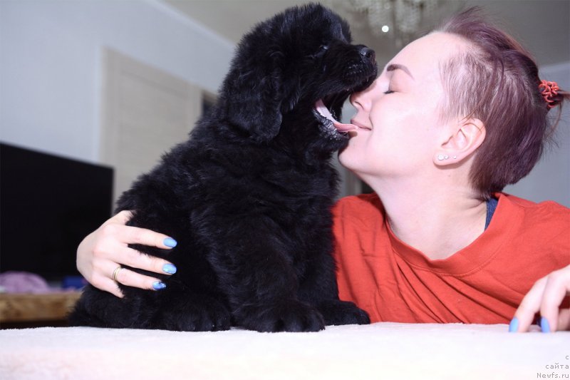 Фотография № 243762