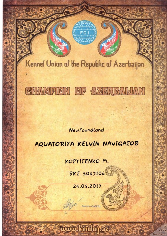 Фото: ньюфаундленд Акватория Келвин Навигатор (Aquatoriya Kelvin Navigator), Михаил Копытенко