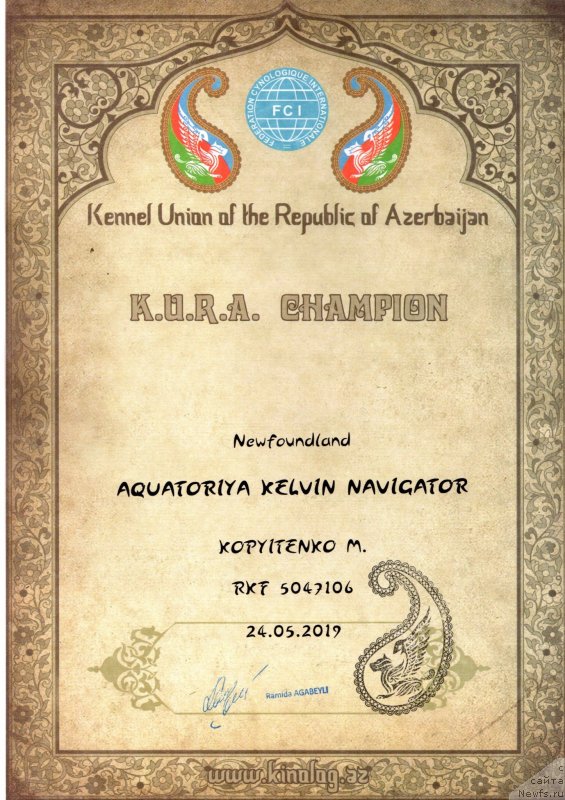 Фото: ньюфаундленд Акватория Келвин Навигатор (Aquatoriya Kelvin Navigator), Михаил Копытенко