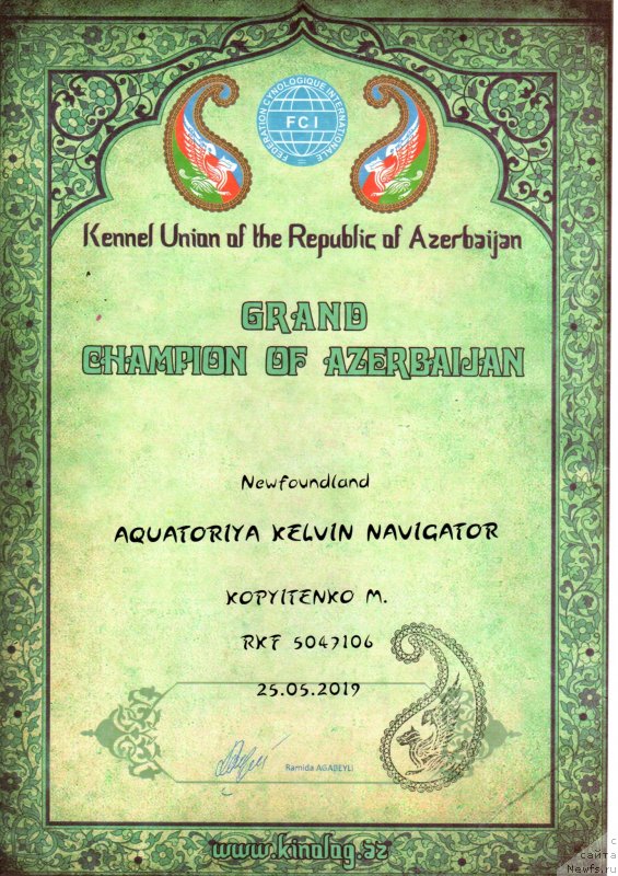 Фото: ньюфаундленд Акватория Келвин Навигатор (Aquatoriya Kelvin Navigator), Михаил Копытенко