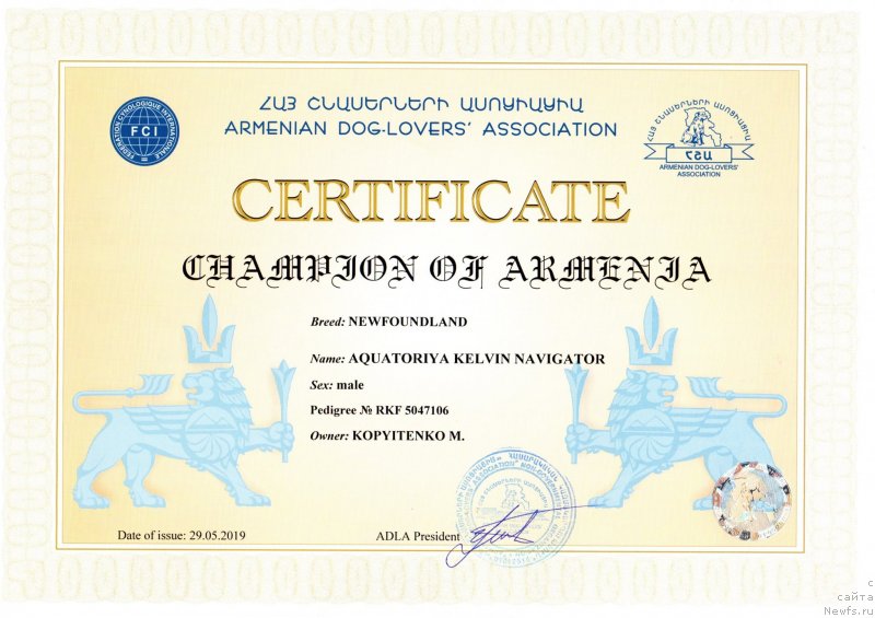 Фото: ньюфаундленд Акватория Келвин Навигатор (Aquatoriya Kelvin Navigator), Михаил Копытенко