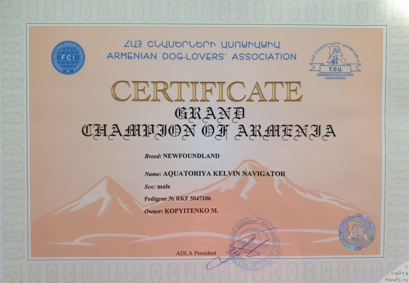 Фото: ньюфаундленд Акватория Келвин Навигатор (Aquatoriya Kelvin Navigator), Михаил Копытенко