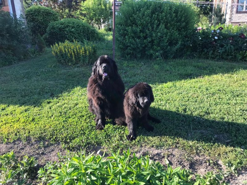 Фотография № 243786