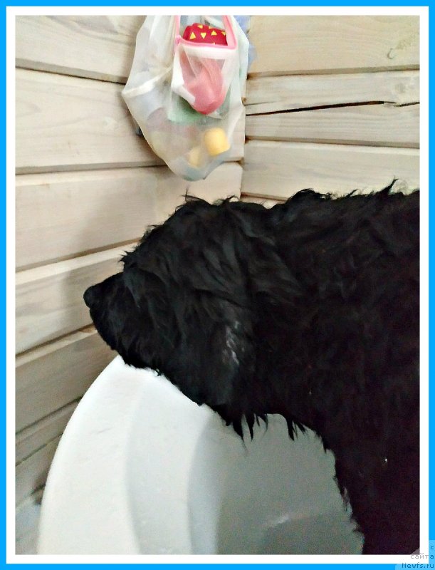 Фотография № 243793