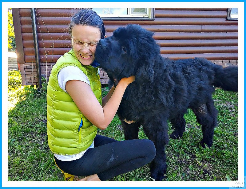 Фотография № 243794