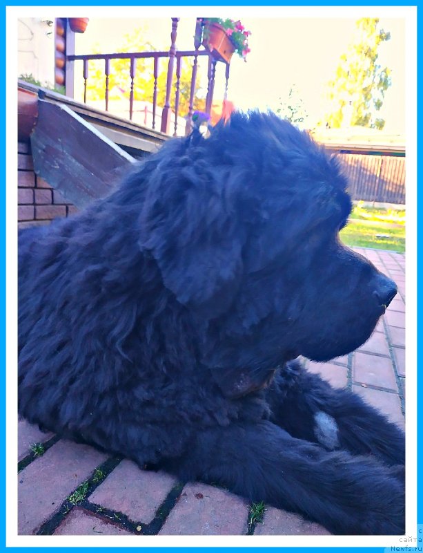 Фотография № 243801