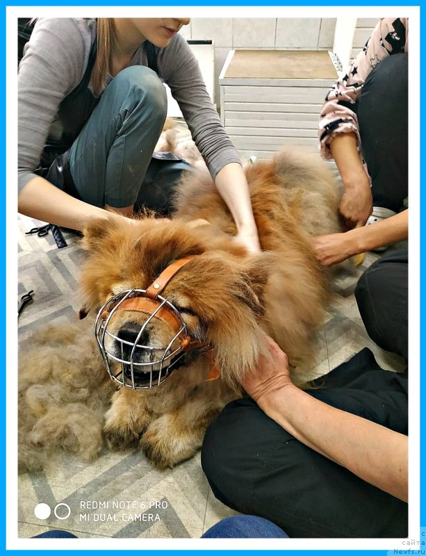 Фотография № 243808