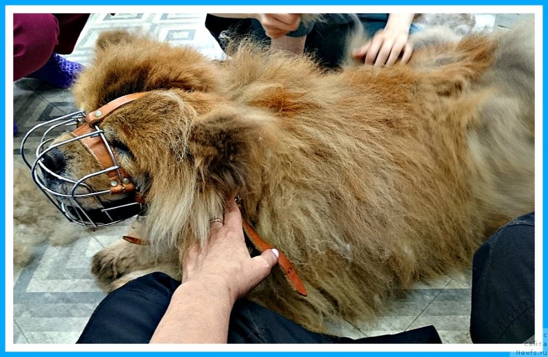 Фотография № 243810