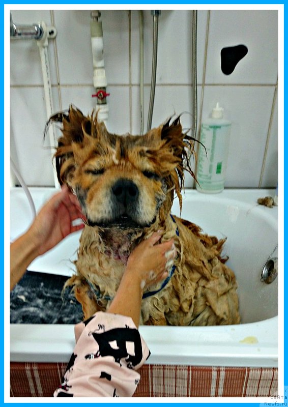 Фотография № 243813