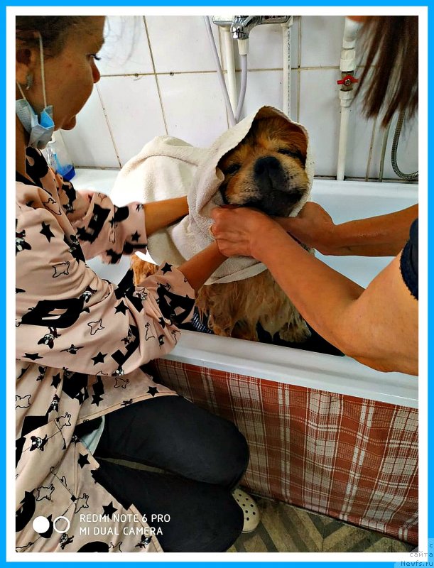 Фотография № 243814