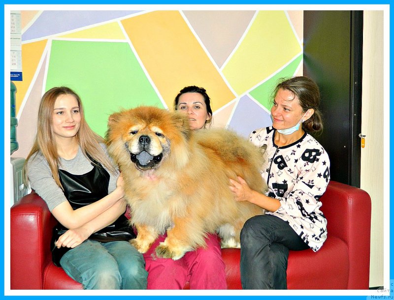 Фотография № 243815