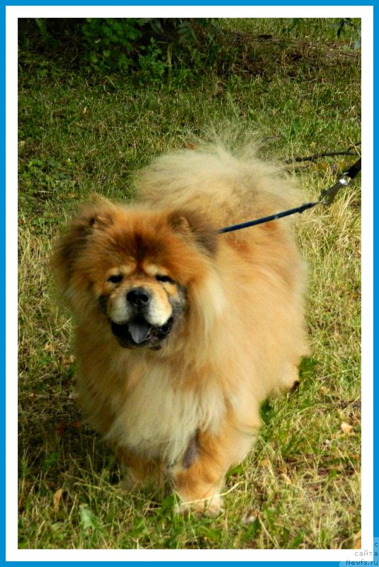 Фотография № 243816