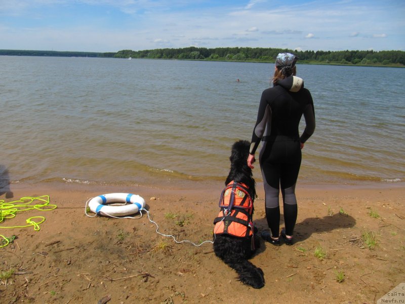 Фотография № 243822