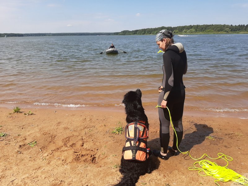 Фотография № 243825